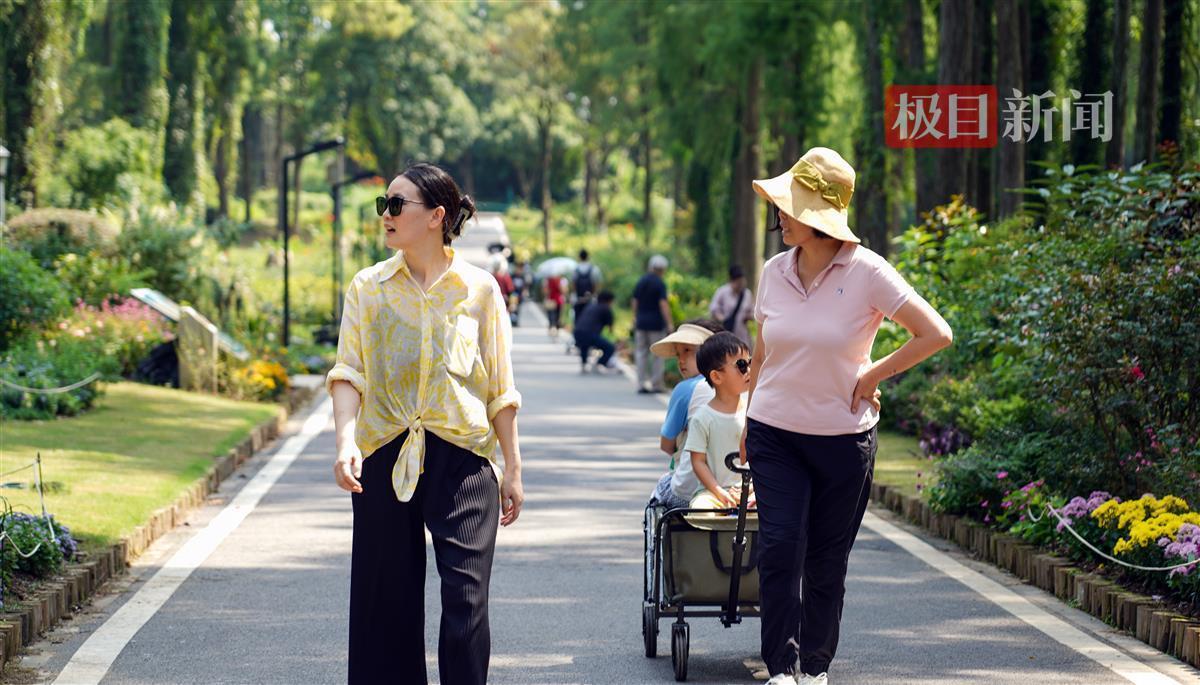金沙娱手机乐登录口